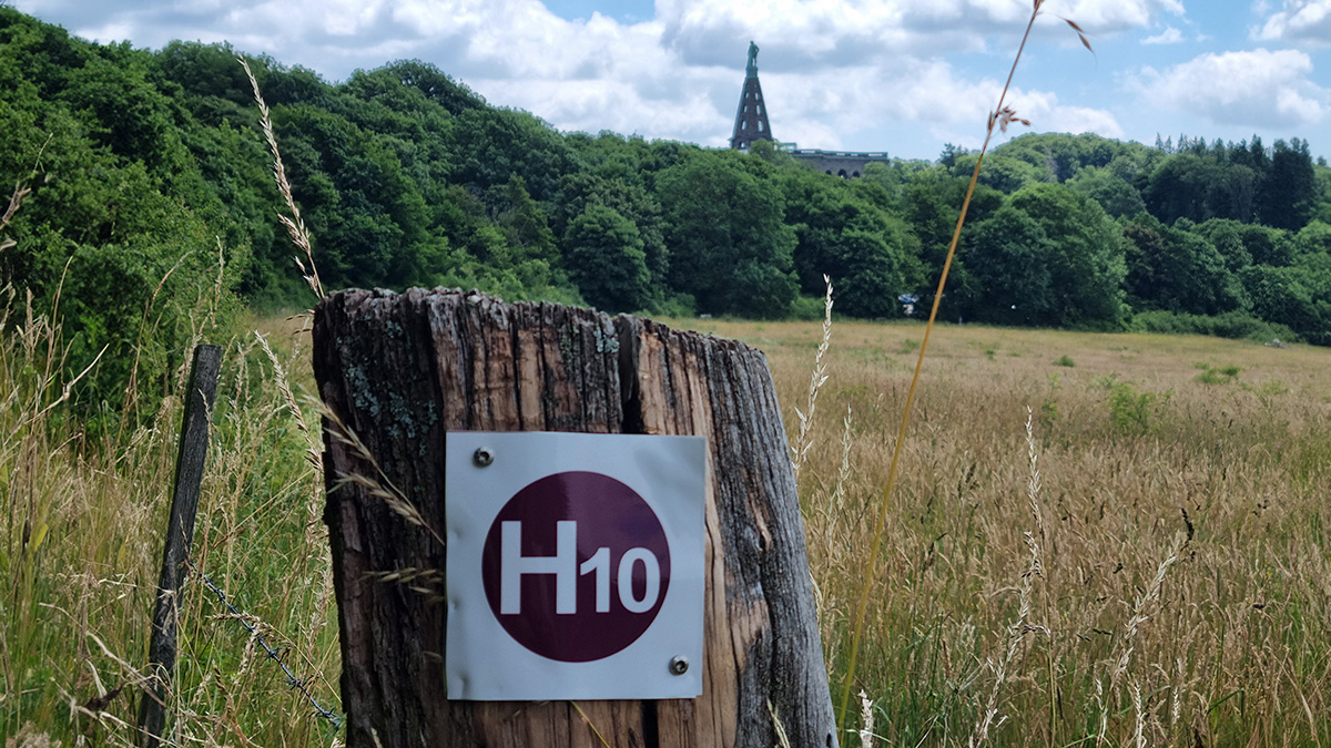 Mehr über den Artikel erfahren Kassel, der Wander-Hotspot