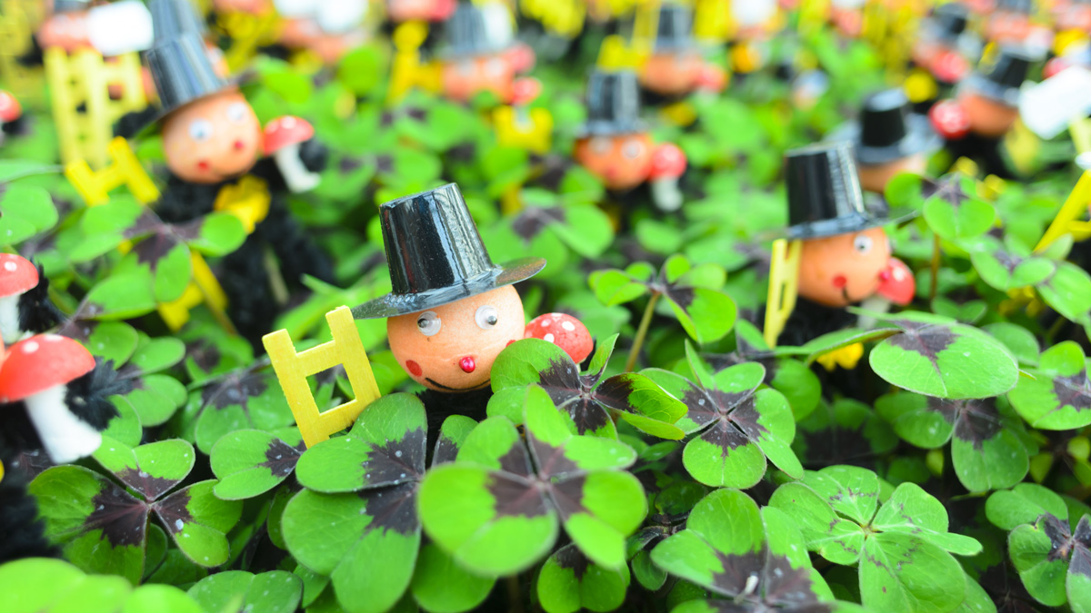 Mehr über den Artikel erfahren Einladung zur Neujahrsbegrüßung am 5.2.