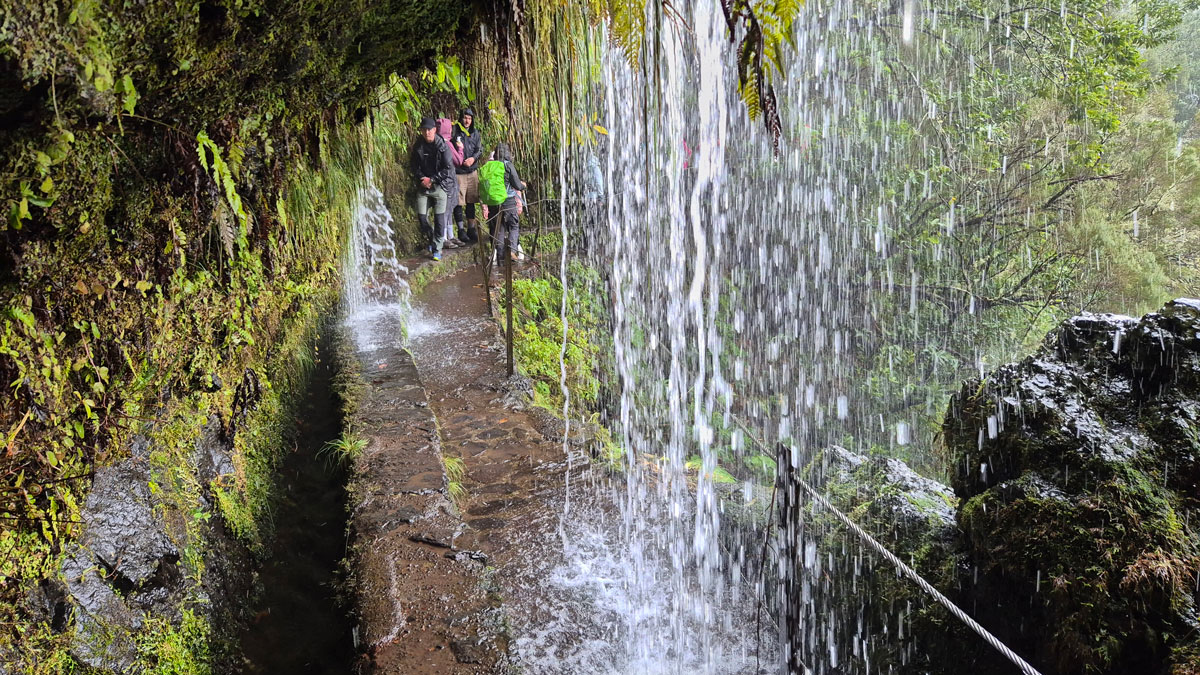 Madeira-20250328_120403
