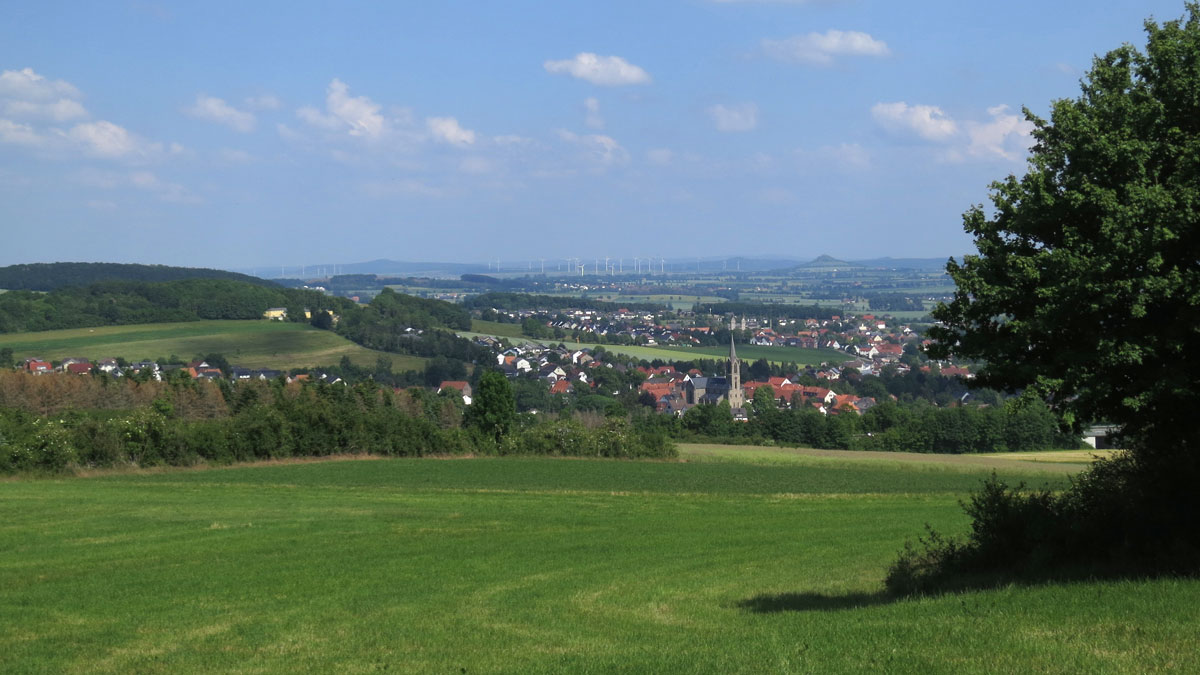 Mehr über den Artikel erfahren Entdeckertour auf dem Diemeltaler Schmetterlingssteig am Sonntag, 12. Juli (17 km)