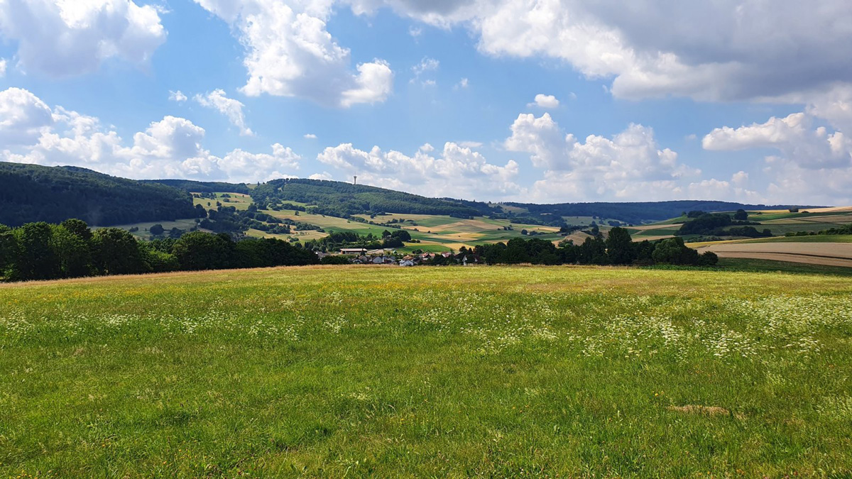 Mehr über den Artikel erfahren Entdeckertour am 18.10.: Verwunschener Wald und alte Sagen
