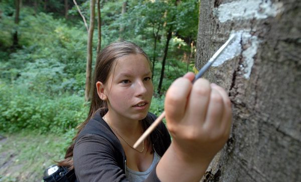 Wegezeichnerin Verena Vesper © J. Kuhr Zeichen setzen: Verena Vesper hat eine Ausbildung als Wegezeichnerin absolviert. (Foto © J. Kuhr)